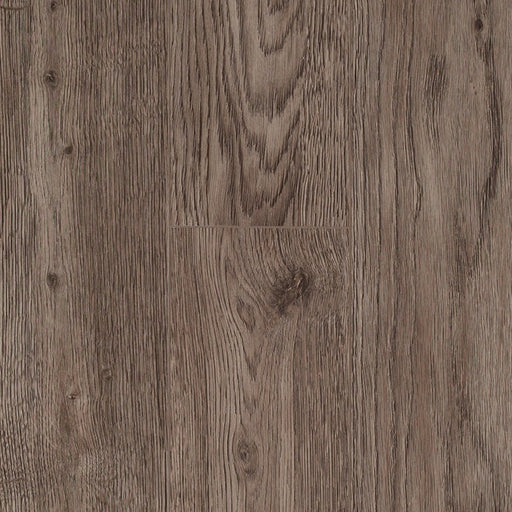 TORLYS - Rigidwood Firm Vista - Foremast