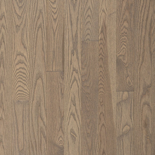 Wickham - Domestic Collection - Builder Grade - 3 1/4" - Ash - Forest Hill