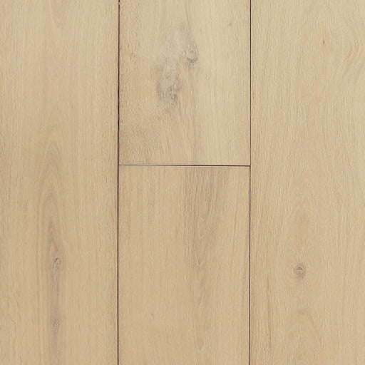 PRAVADA - Canvas Collection - Genre