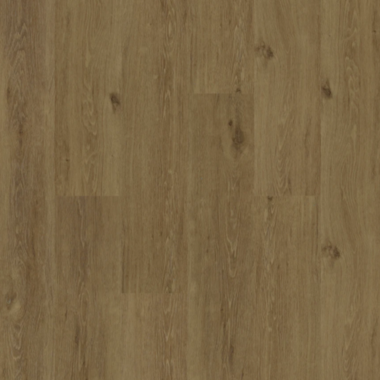 BIYORK - HydroGen 5 - Goldcoast