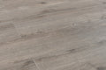 TURION - Genesis Collection - Canyon