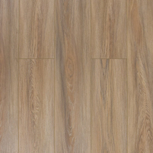 TURION - Pristine Collection - Hauser