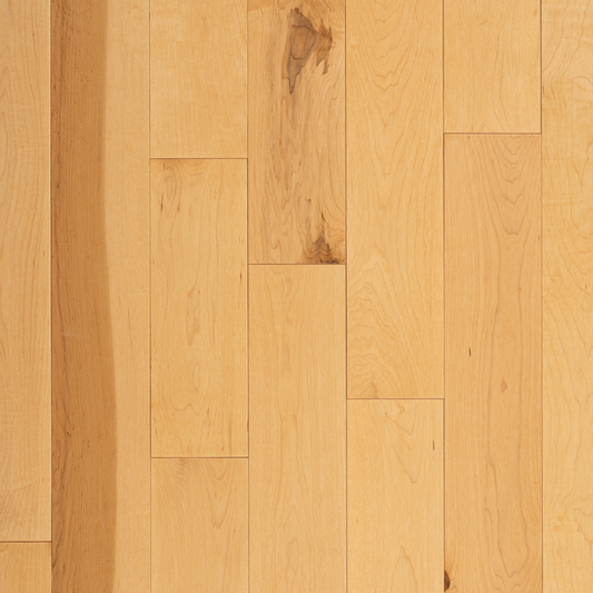 Wickham - Domestic Collection - Canadian Plus Grade - 3 1/4" - Maple - Honey Gold