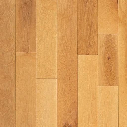 Wickham - Domestic Collection - Cottage Grade - 3 1/4" - Birch - Honey Gold