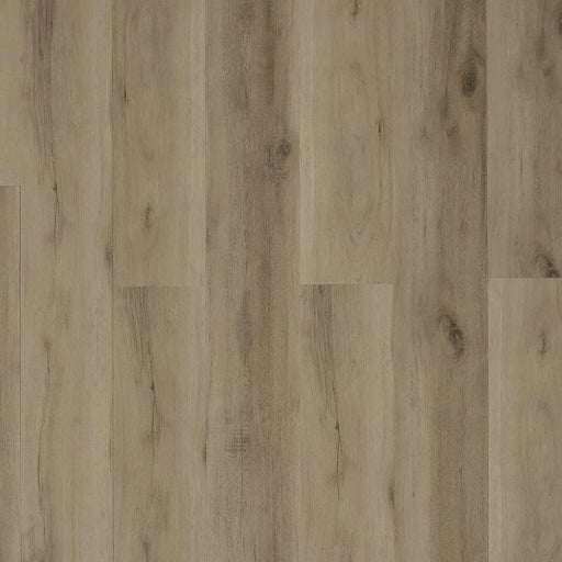 Toucan - TFL607 - Dynamic Grey