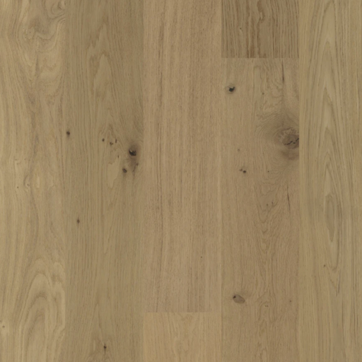 BIYORK - Nouveau 6 Collection - Mellow Rhapsody