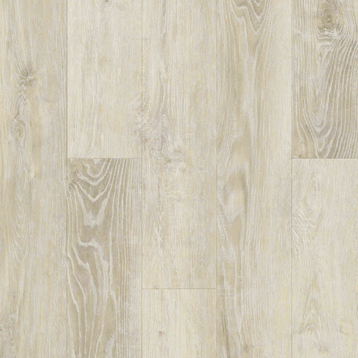 CLIVIA - SPC Series -  Mistaya