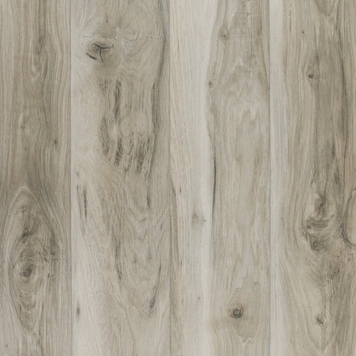 TURION - Saga Collection - Murex