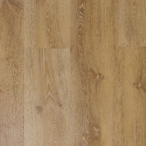 TURION - Icon Collection - Notion