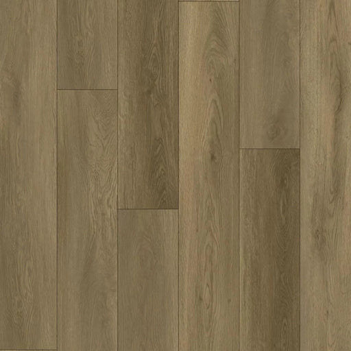 Pristine - Classic Collection - Oak Champagne