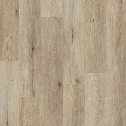 Pristine - Classic Collection - Oak Under The Moon