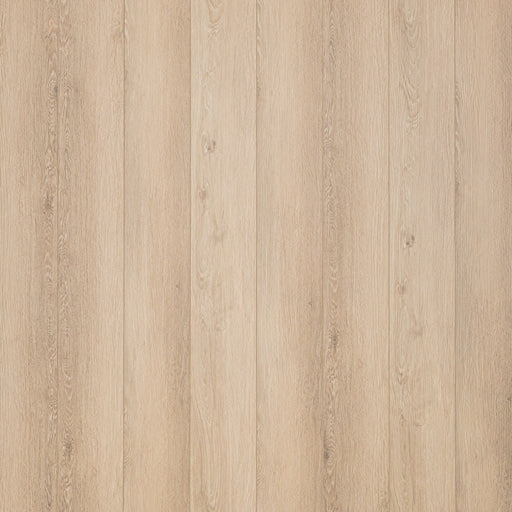 Floor Tek - Proline Collection - Powder