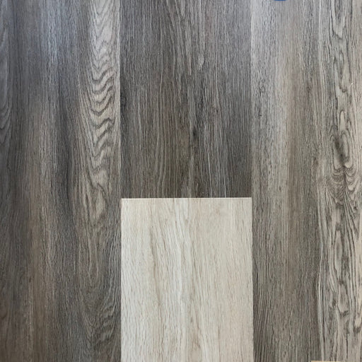 Simba - Universe Collection - Bavaria