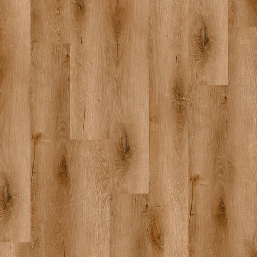 Harbinger - Acoustic Click Waterproof CompositeCore - San Antonio 9"