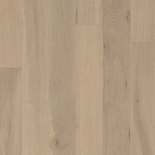 GoodFellow - San Marino Collection - Carmel