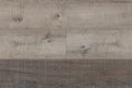 TORLYS - EverWood Designer - Seabright