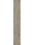 Harbinger - Quiet Zone Series - Serene