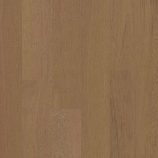 BIYORK - Nouveau 6 Collection - Skagen