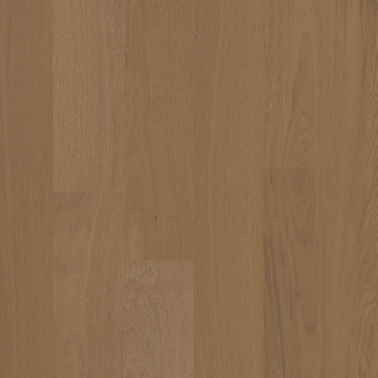 BIYORK - Nouveau 6 Collection - Skagen