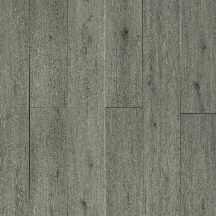 Toucan TF 6311