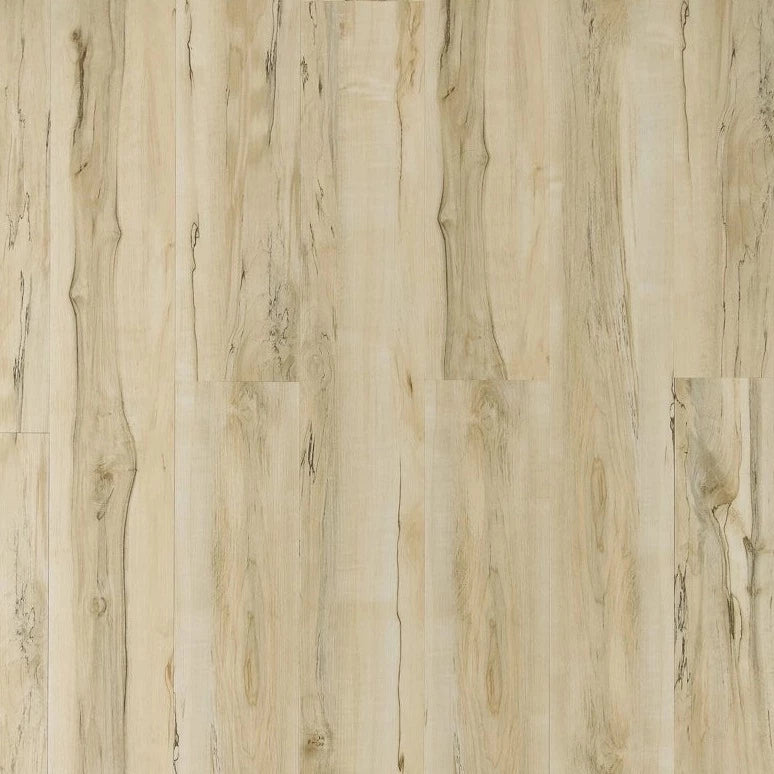 Toucan - TFL610 - City Loft