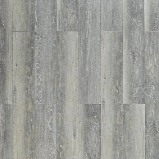 Toucan - SPC 400 Series - TF SPC 401