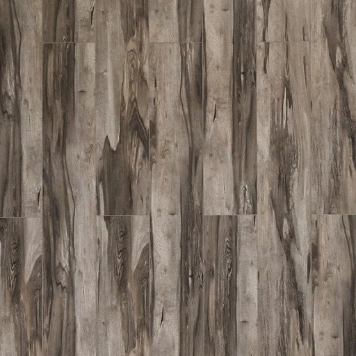 Toucan - SPC 400 Series - TF SPC 407