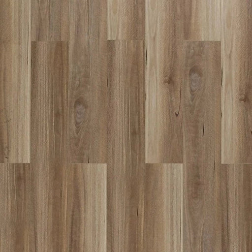 Toucan - SPC 400 Series - TF SPC 409