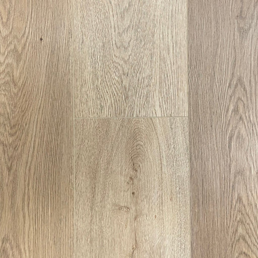 Toucan - TFSPC - 509-F