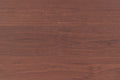 TORLYS - Everest XP Designer Plus - Walnut Natural*